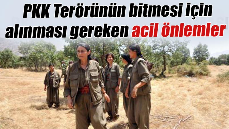 PKK Terörünün bitmesi için alınması gereken acil ö