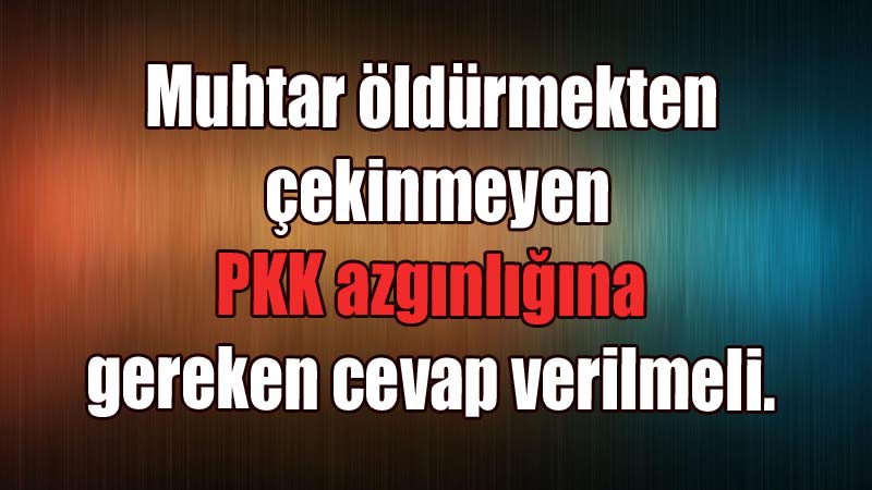 Muhtar öldürmekten çekinmeyen PKK azgınlığına gereken cevap verilmeli.