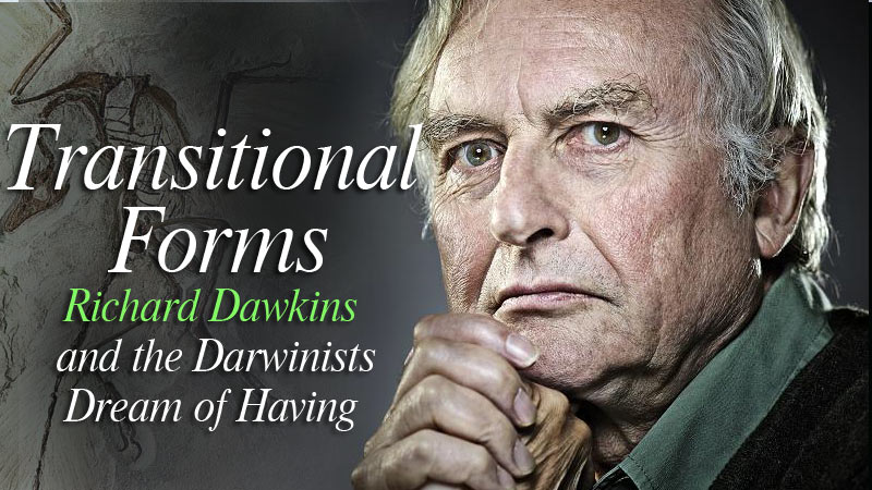 Transitional Forms Richard Dawkins and the Darwinists Dream of Having