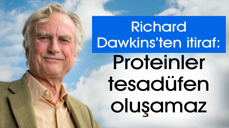 Richard Dawkins’ten itiraf: Proteinler tesadüfen o