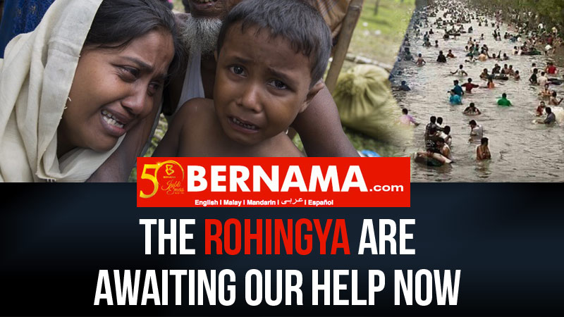 The Rohingya are awaiting our help now