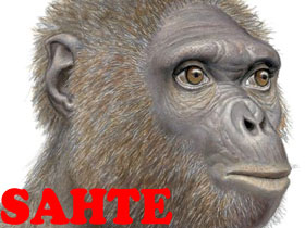 Adnan Oktar 2 Ekim 2009 tarihinde ''Fosil Ardi''nin günümüzde yaşayan Bonobo maymunu ile aynı olduğunu açıkladı