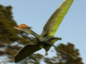 Darwinist çaresizliğin yeni ismi modüler evrim ve mükemmel bir uçucu kuş: Darwinopterus