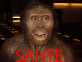 ''Australopithecuslar insanın atasıdır'' iddiası bir sahtekarlıktır