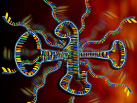 Sansürsüz iddia 5: ''Canlılığın atası RNA'dır''  iddiasının geçersizliği