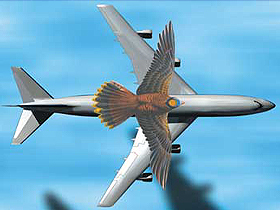 Uçakların daha çok yakıt tasarrufu sağlayabilmesi için kuşlara benzemesi gerekmektedir