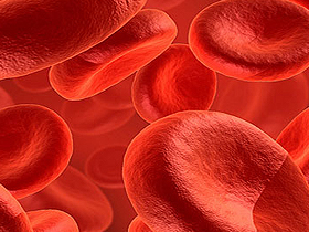 Vücudumuzdaki kanın hayati fonksiyonları