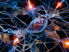 Nöronlardaki elektriksel iletişim