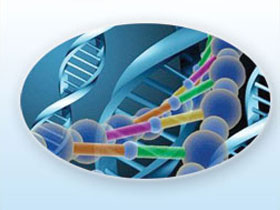 Müthiş Keşif DNA Bilgisayar