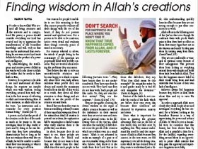 Finding wisdom in Allah’s creations