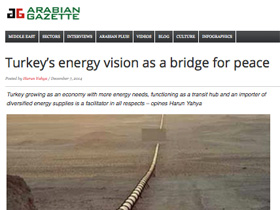 Barış için bir köprü olarak Türkiye’nin enerji viz
