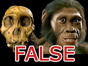 A fact admitted even by evolutionists: Australopithecus sediba is not an ancestor of man! 