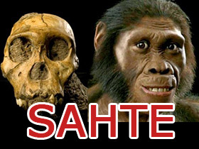 Evrimcilerin de kabul ettiği gerçek: Australopithe