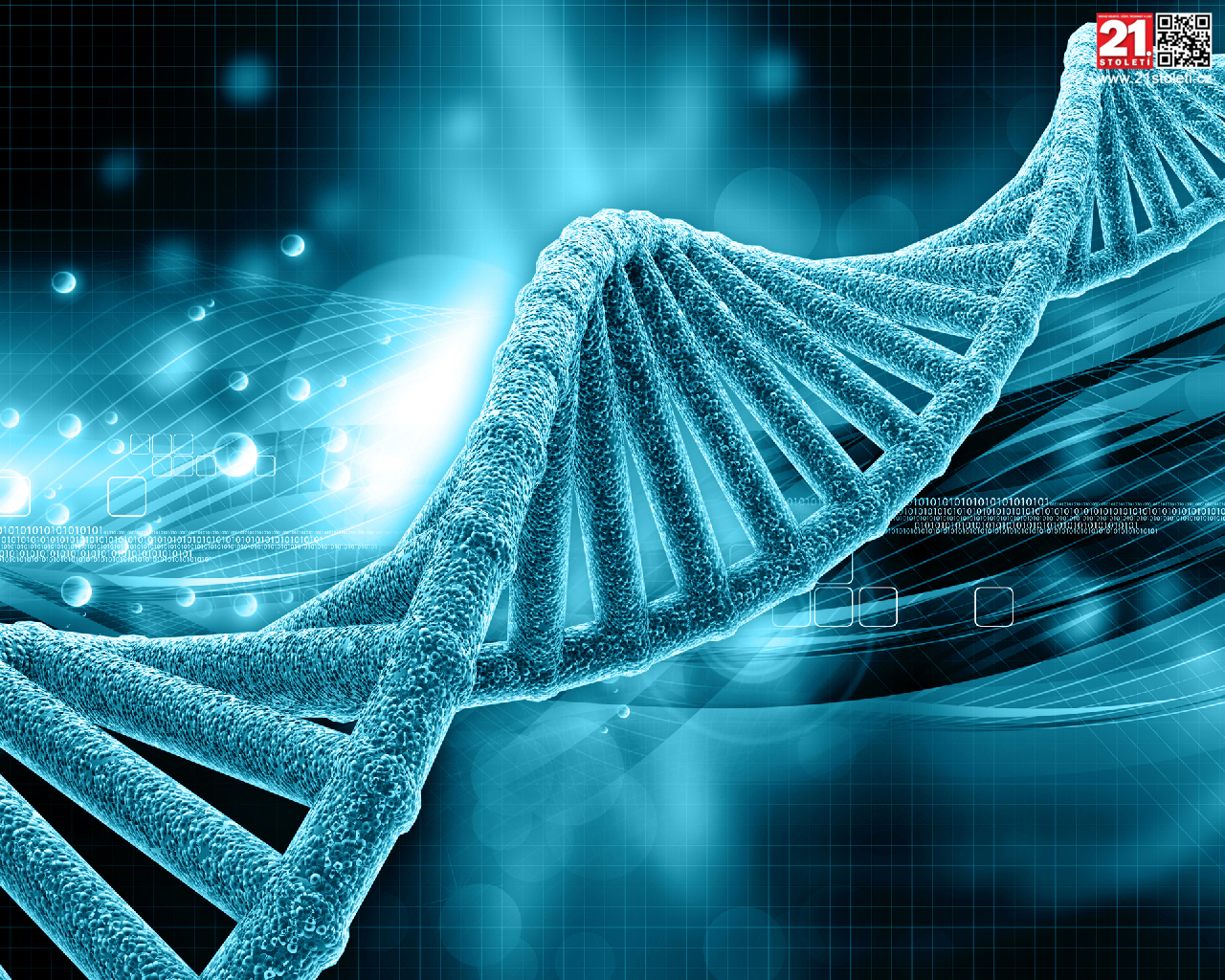 DNA’nın Yapısı Kuran’da İnsan Suresi’nde Tarif Edi