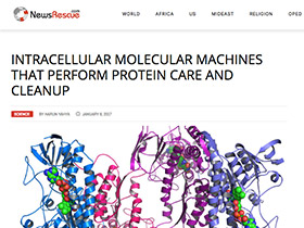Intracellular Molecular Machines That Perform Protein Care and Cleanup