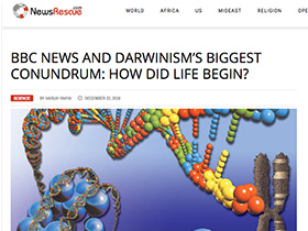 BBC News ve Darwinizmin En Büyük Açmazı: Hayat Nasıl Başladı?