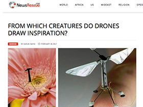 Hangi canlılar dronelara ilham kaynağı oluyor?
