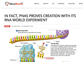 PNAS, RNA Dünyası Deneyi ile Aslında Yaratılışı İspatlıyor