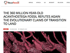 360 Milyon Yaşındaki Acanthostega Evrimcilerin Karaya Geçiş Masalını Bir Kez Daha Çürütüyor