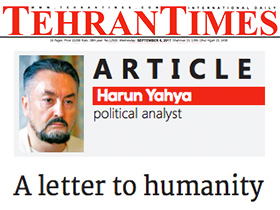 A letter to humanity