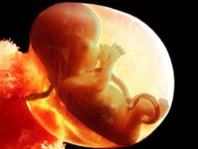 Kuran mucizeleri: Bebeğin rahimdeki üç karanlık evresi