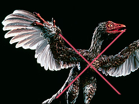 Archaeoraptor liaoningensis (Dino-kuş) sahtekarlığı