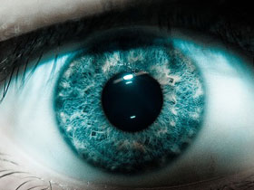 Gözün Anatomik Yapısı