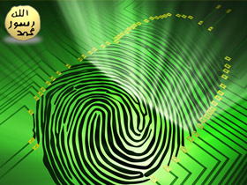 The identity ın the fingerprint