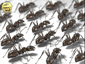 L'armee de fourmis dans la technologie
