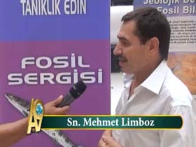 Mehmet Limboz