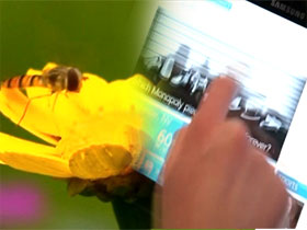 Dünyanın en hızlı bilgisayarıyla yarışan bal arısı! 