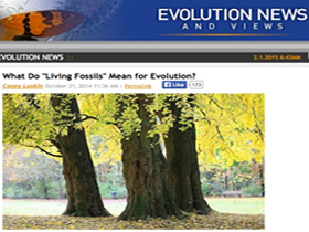 Yaşayan Fosiller ve Yaratılış Atlası Evrim Sürecinin geçersizliğini ortaya koyuyor