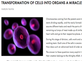 Hücrelerin Farklı Organlara Dönüşmesi Dünyadaki En