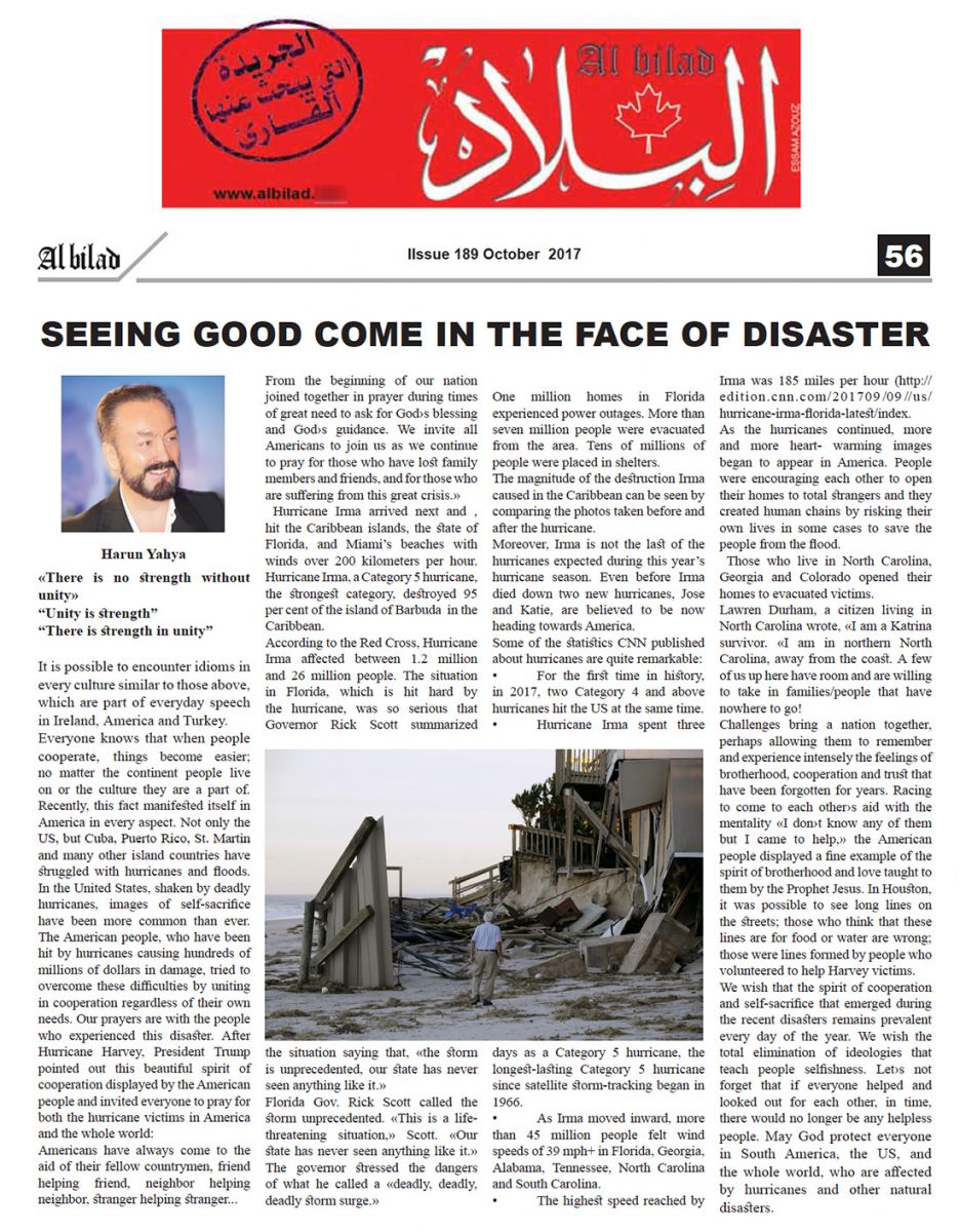 Seeing good come in the face of disaster