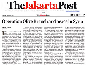 Operation Olive Branch and peace in Syria