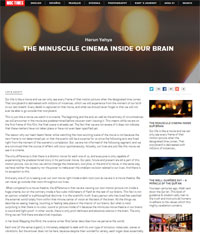 The minuscule cinema inside our brain