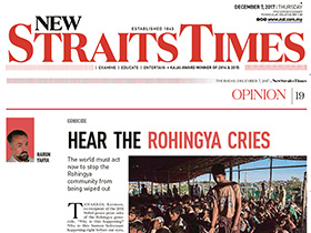 Dünya Rohingya'nın çığlıklarını duymalı