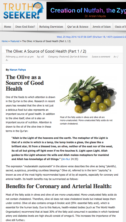 The Olive: A Source of Good Health (Part 1) 