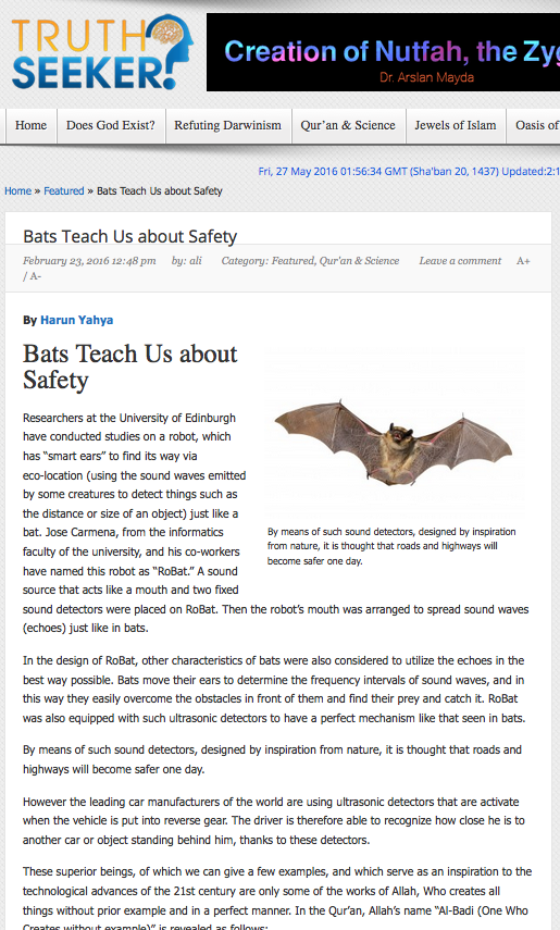 Bats teach us about safety 