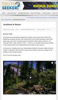 Architects in Nature