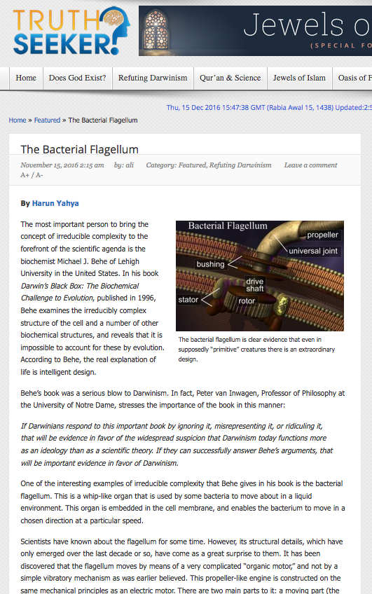 The Bacterial Flagellum 