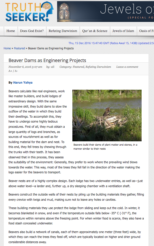 Beaver Dams as Engineering Projects 
