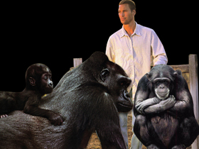 İnsanın primatlardan evrimi masalı