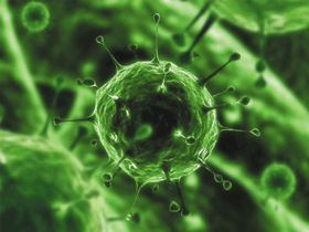Virüsleri putlaştıran Discover"ın akıldışı iddiası