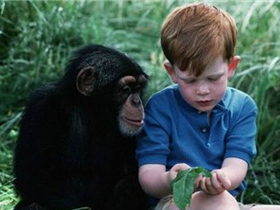 İnsan ve Şempanzenin Eşleştiği Masalı