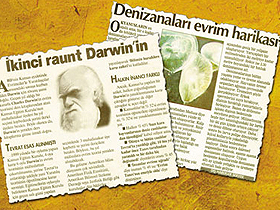 Hürriyet Gazetesi"nin ""Evrim Formülü"" Yanılgısı