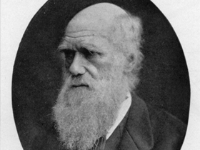 Darwin"le İlgili Amatörlük İtirafları