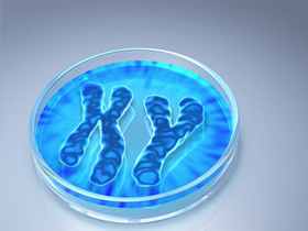 Hürriyet Bilim ve Cumhuriyet Bilim Teknik Dergilerinde Y-Kromozomu Yanılgısı