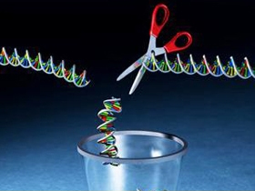 Discovery Channel"ın Hurda DNA Yanılgısı