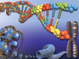 Bilim ve Teknik Dergisi ""Hurda DNA"" Kavramıyla Kendi Kendini Çürütüyor